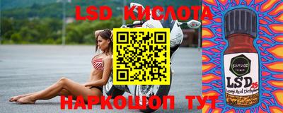 крисы Аргун