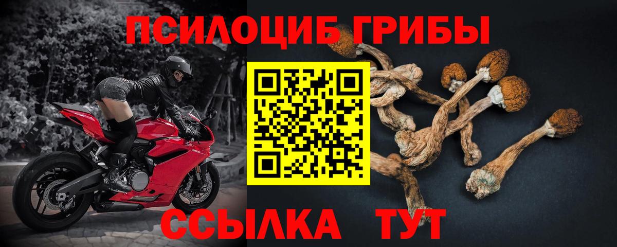 Верхняя Салда  Галлюциногенные грибы мухоморы  Вход с VPN 